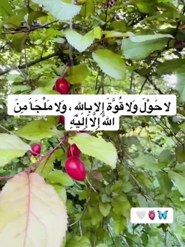 لاَ حَوْلَ وَلا قُوَّةَ إِلا بِاللهِ ، وَلا مَلْجَأَ مِنَ اللهِ إِلا إِلَيْهِ🫀