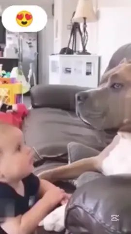 Dogs vs babies funny shorts haha so funny’s😂😂😂😂😆😆😆😆😆🤣🤣🤣🤣😜😜😜😝😝😝….#fyp #foryo #unitedstates #funny #veryfunnyvideo😂😁😁 #goviral #fypage #usa🇺🇸 #usa_tiktok #viral #dogs #babiesoftiktok #trending #funnymoments #babylove #babyfunny #explore #babyfunnyvideo #northamerica #entertainment 