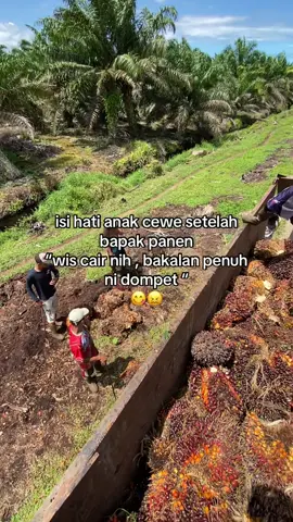 nyatanya engga 😭#silautpesisirselatan #anakpetanisawit #foryou #fypシ 