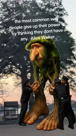 #Meme #MemeCut #CapCut #narcissisticabuse 
