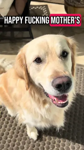 To the mom’s with fur babies, Happy Mother’s Day! 🐾🫶🏻#fyp #trending #viral #mother 