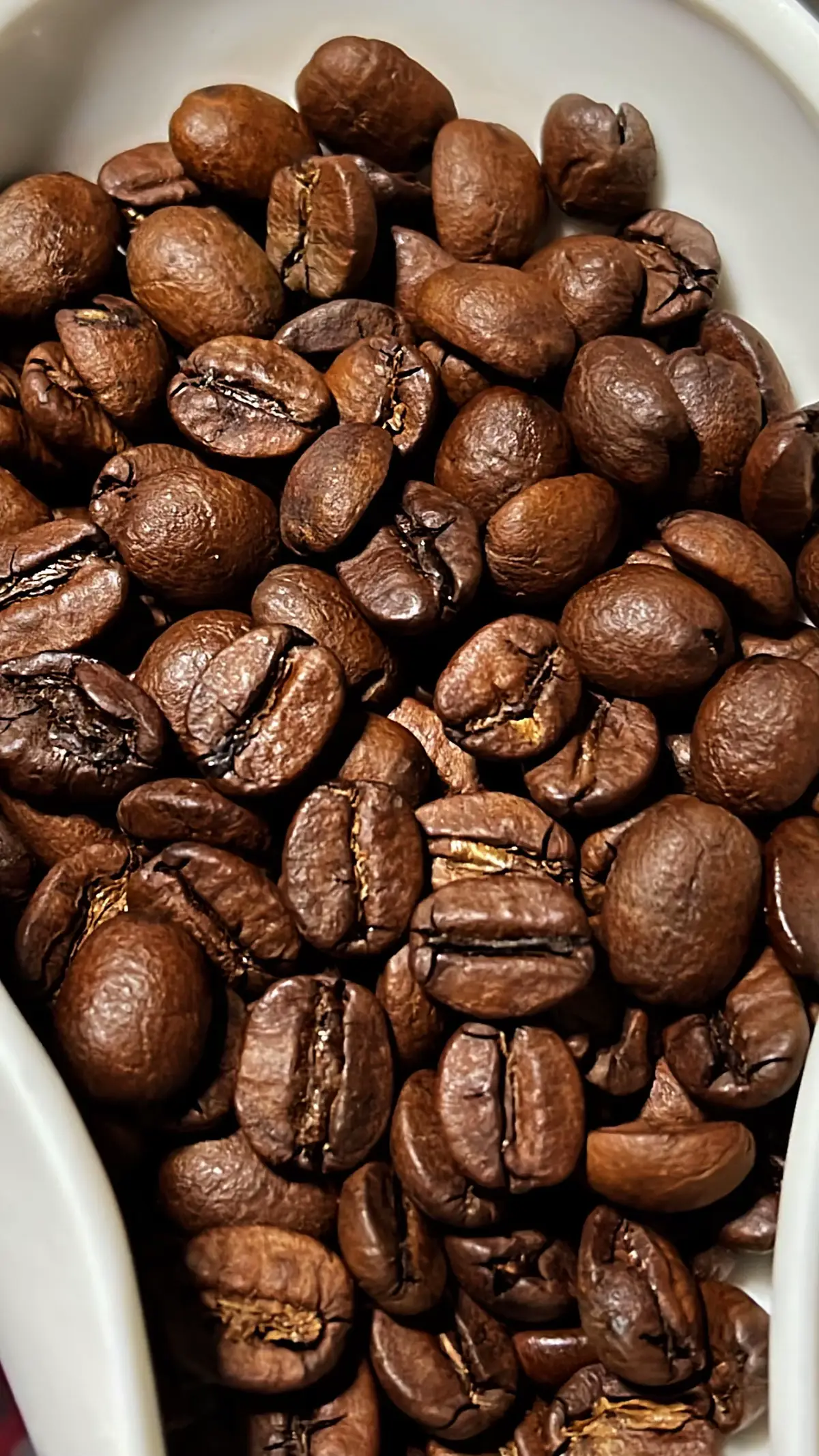 #اكسبلورexplore #explorepage #تصوير #ex #explore #explorar #your_coffee #اكسبلورر #تصويري #محمصه #محصول 