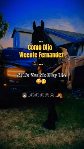 #site #vas #no #hay #lio #VicenteFernandez #corridos #🐴 #🧔🏻‍♂️ #💫 #🤠 #foryoupage #fytシ #viralvideo 