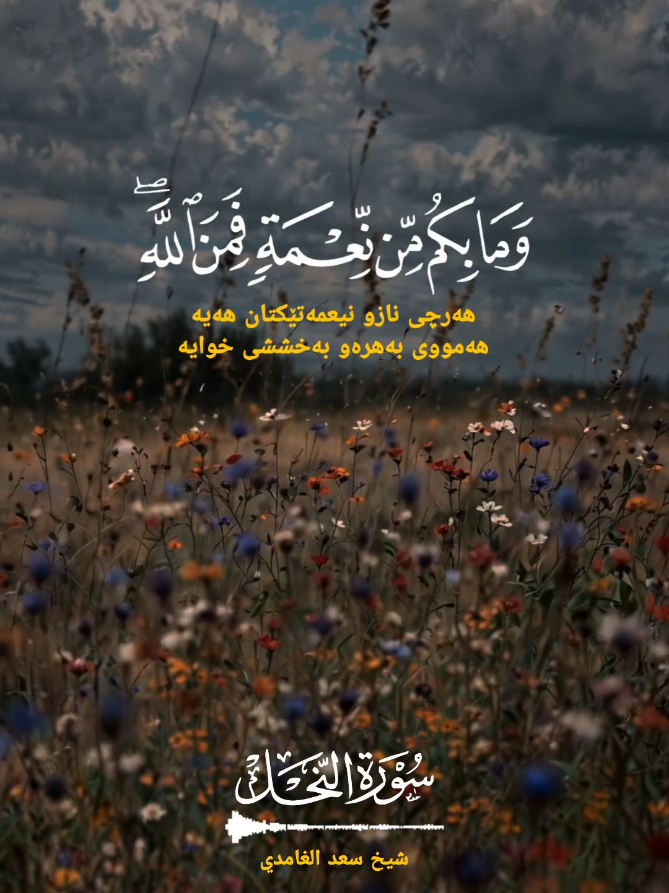 #الله #قران #سعد_الغامدي #قران_كريم #اللهم_صلي_على_نبينا_محمد #allah #quran #quran_alkarim #islam #islamic_video 