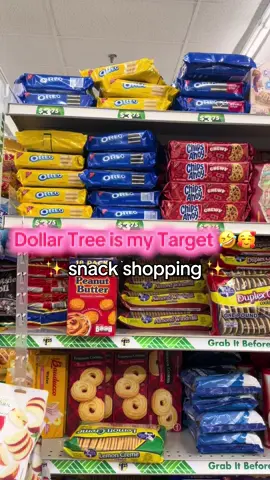 Dollar Tree is my Target 🤣🥰 It came out to be $90 because we bought toys and my boyfriend had his own cart, overall way cheaper than where we usually shop 🫶🏼 #dollartree #dollartreeshopping #dollartreeshopwithme #dollartreefood #dollartreesnacks #snackhaul #dollartreecommunity #dollartreefinds #dollartreehaul #dollartreedinners #dollarstore #dollarstorefood #dollarstorefinds #dollarstoresnacks #targethalloween #targetshopping #creatorsearchinsights #budgetfriendly #budgetfriendlymeals #dollartree @Dollar Tree 