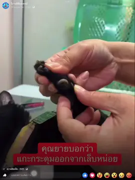 พึ่งเคยเห็น 💥💥 เล็บน้องแมวเหมือนกระดุมจริงๆ 😅  คุณยายเจ้าของพามารพ. ให้ช่วยเอากระดุมออกจากเท้าน้องแมวให้หน่อย แมวอายุเยอะแล้ว 12 ปี ไม่ค่อยลับเล็บ  คุณยายก็น่าจะมองไม่ค่อยเห็นด้วย  คุณหมอ ตัดเล็บให้แล้วน้องน่าจะเดินสบายขึ้น 💕 Cr.วิภาวดีสัตวแพทย์ #สัตว์โลกน่ารัก #แมวน้อย #ทาสแมวก็งี้เเหละ #ทาสหมาทาสแมว #นุดกับแมว 