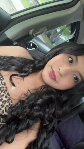 🐆