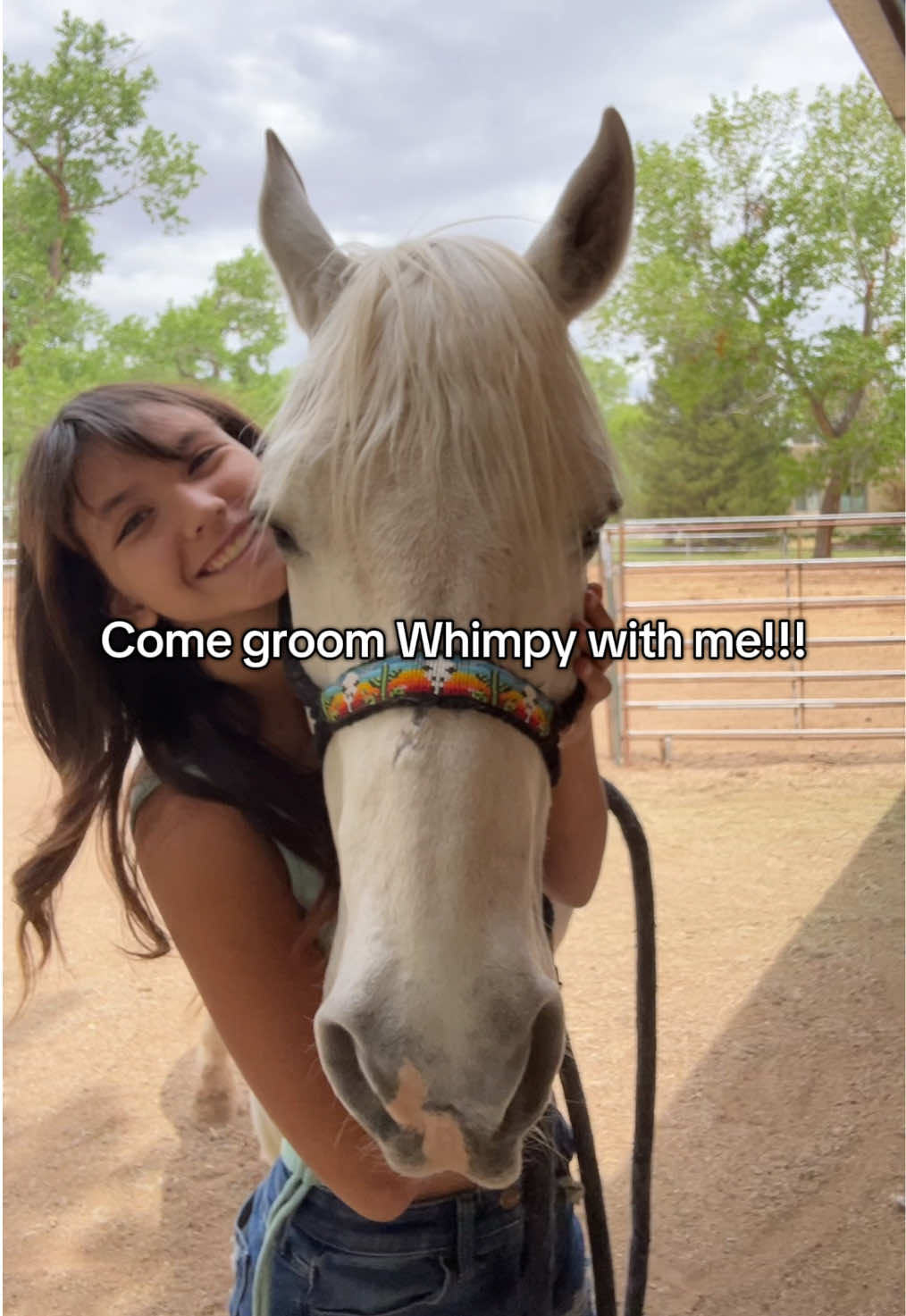 Lil smth cause why not #horses ##fypシ #western #equestrian #princewhimpyjuniperthefourth #Vlog #horsevlog 