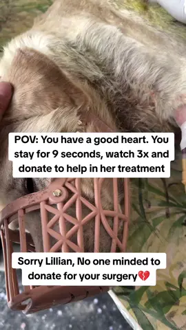 Imagine getting ignored to this extent by your family that you were literally getting eaten alive and they absolutely had no idea...#UKTikTok #BritishTikTok #CanadaTikTok #TikTokCanada #USTikTok #AmericanTikTok 