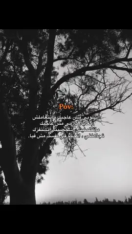 🤙🏻🤙🏻🥇#حلات_واتس #fyp #mvno #viral_video #explore #fouryou #