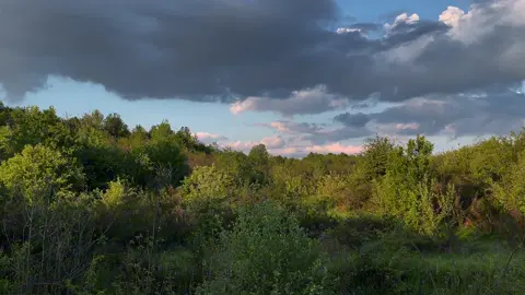 #nature #vibe #spring #naturevibes #peace #fyp #on 