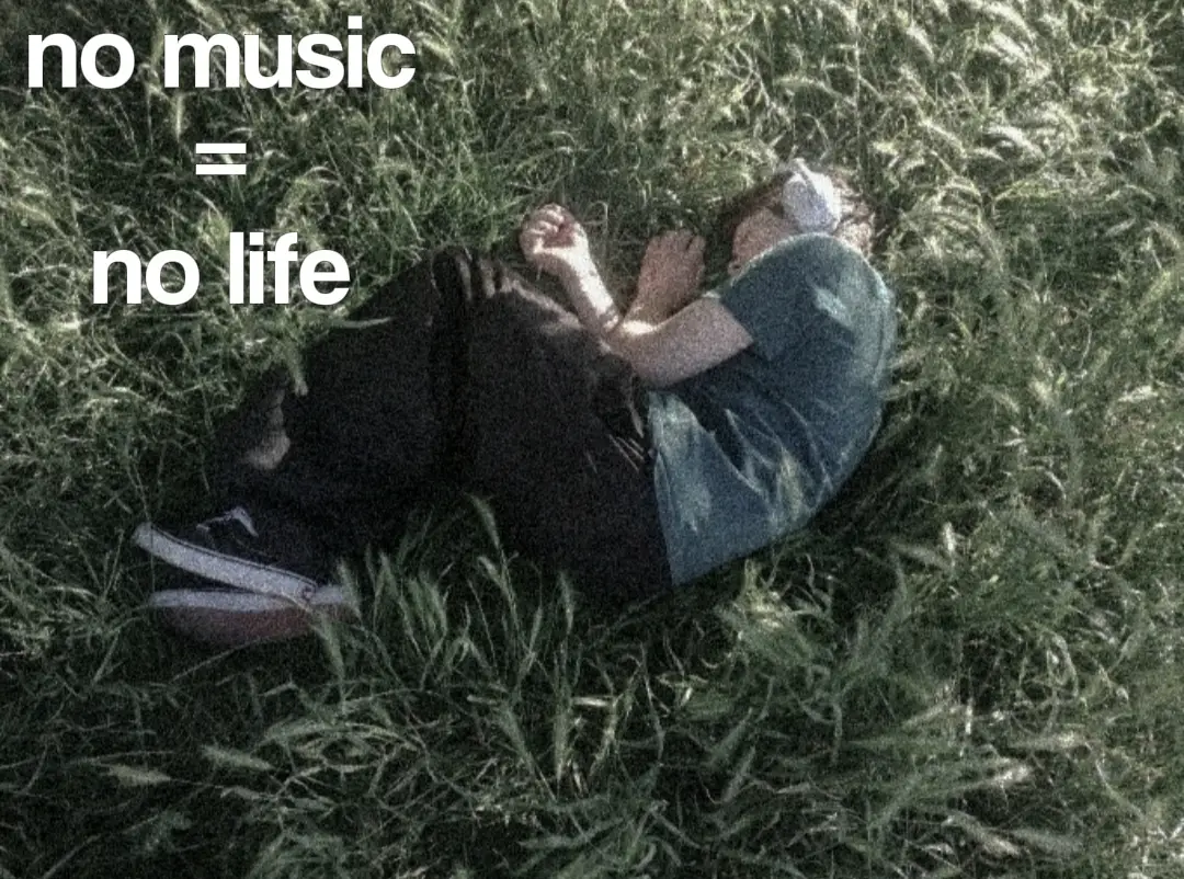 no music no life #foryoupage #fyp #foryou #music 