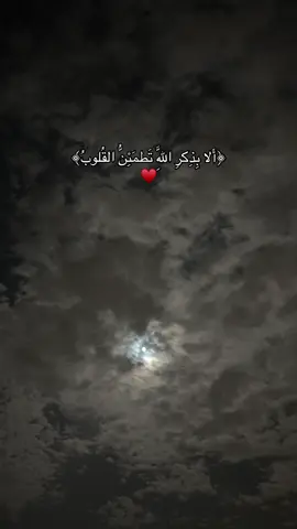#قران #منصور_السالمي #اكسبلور #تصميم_فيديوهات🎶🎤🎬 #foryou #foryoupage #راحه #الا بذكر_الله_تطمئن_القلوب #fyp #like 