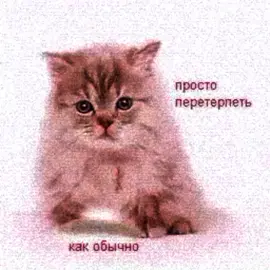 грустно#щитпост 