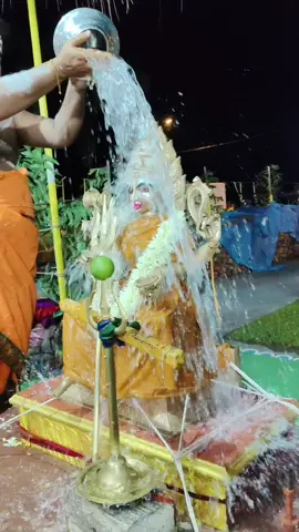 Wellesley Muthu mariamman  #mahamariamman #muthumariamman_thunai🙏🔱 #wellesley #wellesleythiruvizha #muthumari #amman #abishegam #muthumariamman #muthumariamman_thunai #fyp #fy #ammanfyp #fyp #fyppppppppppppppppppppppp #fypシ゚ #tamilgod #vepilaikari #indian #omsakthi #omsakthi_parasakthi 