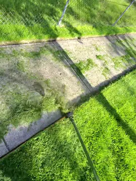 #illinois #landscape #lawncare #Outdoors #tiktok #grass #fun #raybanmeta  @ray ban meta 