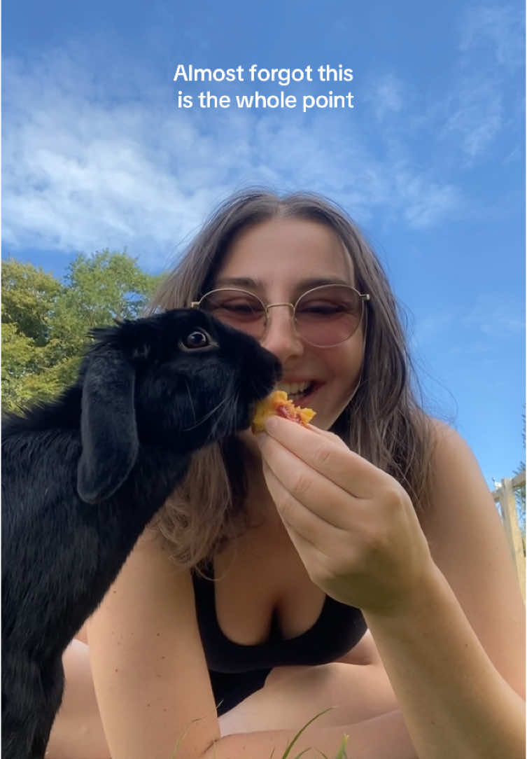 The simple things like sharing a peach with your greedy bunny.  🍑🍑🍑 #almostforgot #rabbitsoftiktok 