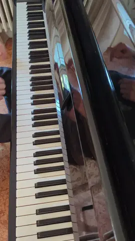 a cover of my current favourite ost from the game, called Déchire la Toile (aka the World Map theme) #expedition33 #clairobscur #pianocover #déchirelatoile #ost #fyp #piano 