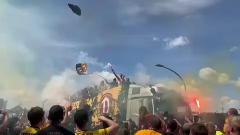 #sgd #🖤💛 #nurdiesgd #sgd1953 #1953 #aueschweine🐖 #dynamo #dynamodresden #aufstieg2liga #aufstiegsfeier #dresden #terrassenufer 