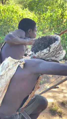 Chaaba & Dudukwe’s Wild Hunting Skills! 🔥 Did They Miss Again? Watch Now | Hadzabe Tribe Hunting 