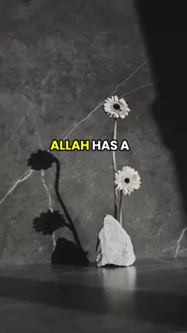 #hope #trust #Allah #islam #Islamic_video ##foryou #viralvideo 