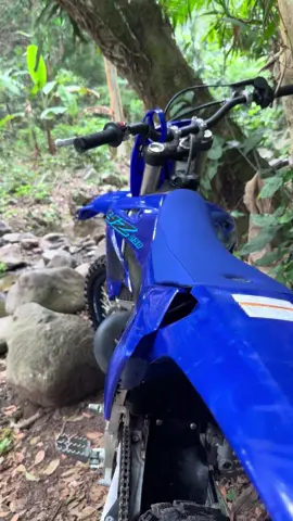 #yamaha #yz #yz250 #fybシ #viral #paratiiiiiiiiiiiiiiiiiiiiiiiiiiiiiii #paratii 