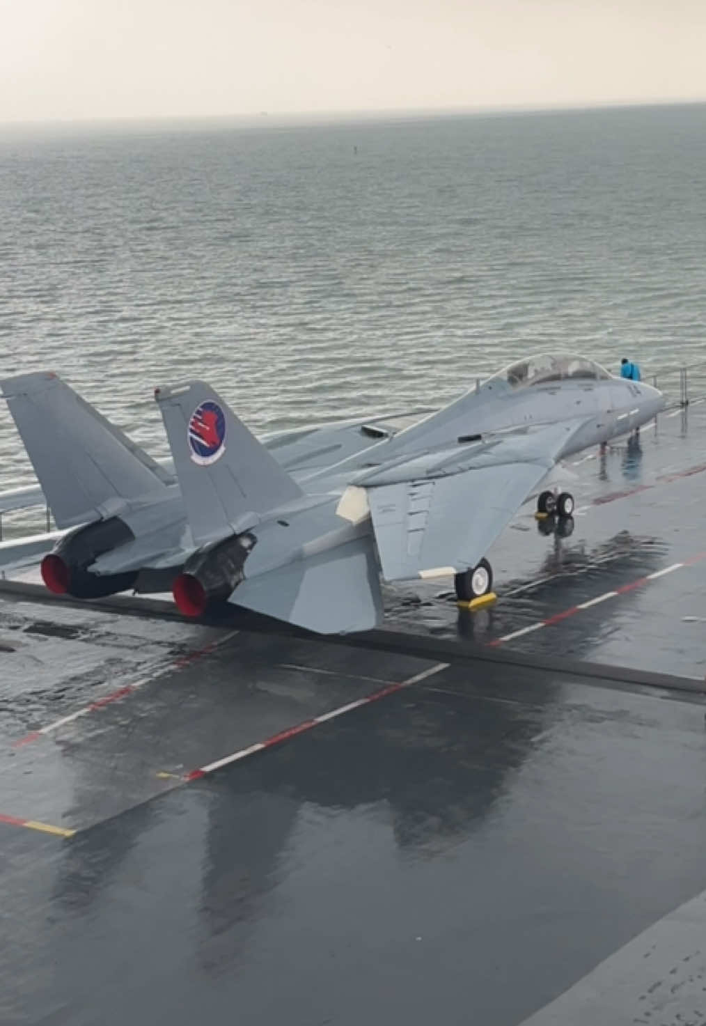 F-14 Tomcat 🔥🔥 #topgun #aviation #fighterjet  #lockheed #f14 #fyp 