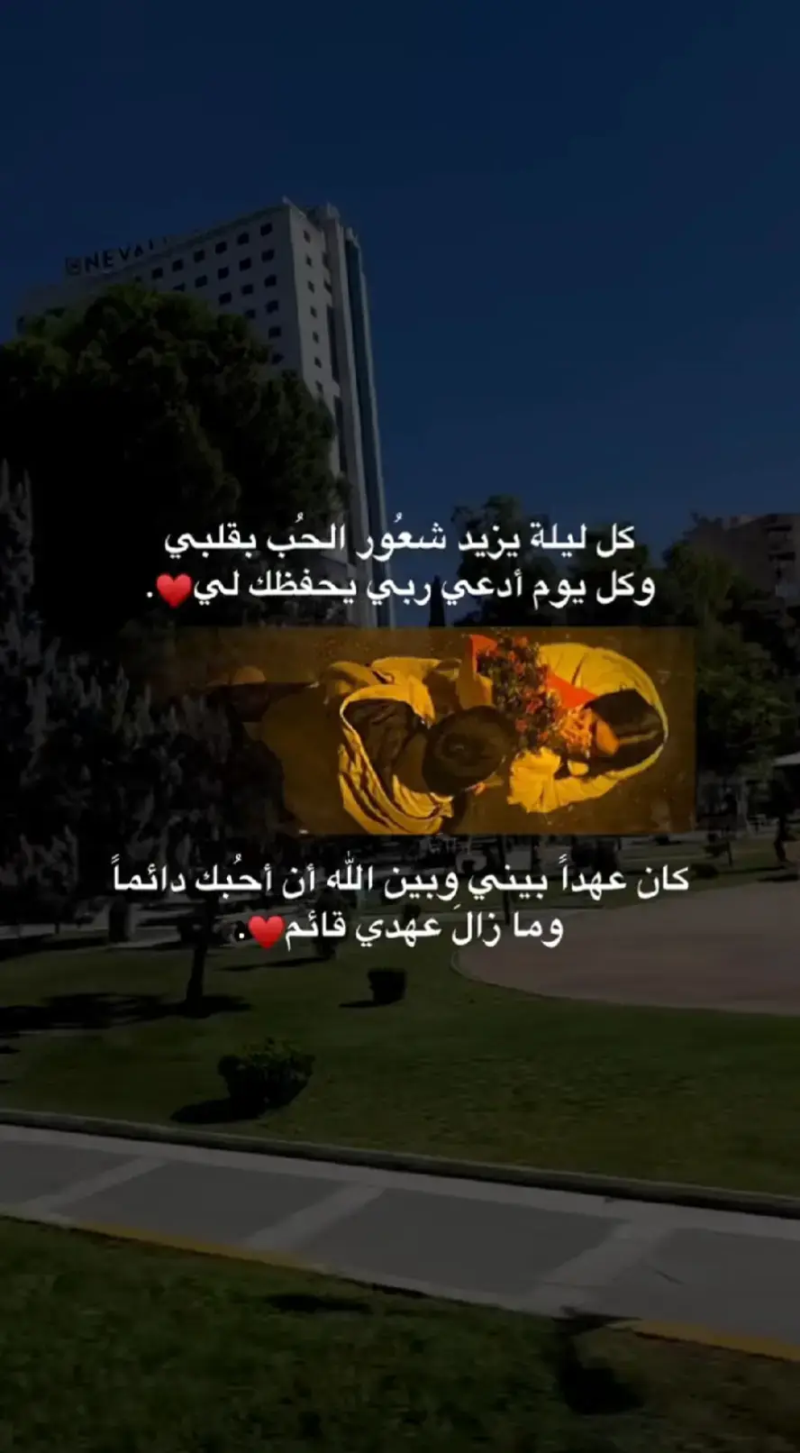 ❤️❤️❤️❤️