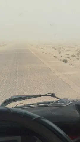 ما شاء الله واحلى ناس في  الكياس ♥️✈️ القوه تتكلم كثيراً 💪😎🆘✈️ نقل السيارات والشاحنات والمعدات الفلاحيه كامل تراب الجمهوريه التونسية ♥️ مرحبا بكم واحلى ناس اولاد حفوز سيدي بوزيد نفتخر واحلى كريم ♥️😘😘 #93309180 