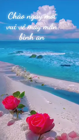Ngày mới xin chúc tất cả mọi người vui vẻ may mắn bình an và tràn đầy năng lượng…