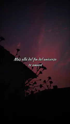 🎶 Te amaré siempre, como Industria del Amor lo canta 💖✨. ¿Quién más siente estas vibras? #TeAmaré #IndustriaDelAmor #AmorEterno #Emociones 🎵 #CancionesDeIndustriaDelAmor #CancionesBonitasParaDedicar #videos #teamare #industriadelamor #amorverdadero #amoreterno 