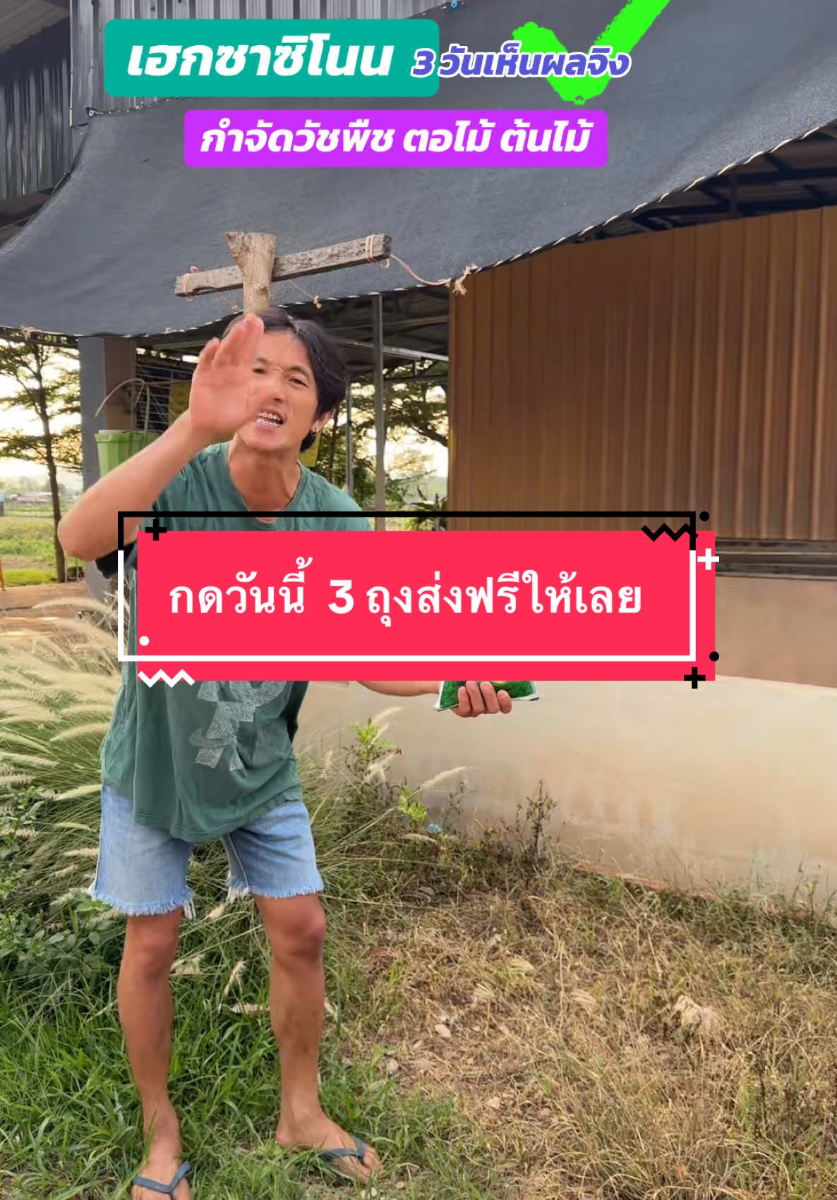 #พิรุตบ้านสวน #สารกำจัดวัชพืช #ยาฆ้าหญ้า #สารกำจัดวัชพืช #กําจัดตอไม้ต้นไม้ทุกชนิด #กำจัดตอไม้ #เฮกซาซิโนน500g #กําจัดตอไม้ต้นไม้ทุกชนิด #ยาฆ้าหญ้า #สารกำจัดวัชพืช #พิรุตบ้านสวน #เฮกซาซิโนน500g #ต้นกระถินริมรั้ว #ยาฆ่าหญ้า #ต้นกระถินริมรั้ว #กำจัดต้นไม้ #กำจัดต้นไม้ #กําจัดตอไม้ต้นไม้ทุกชนิด 