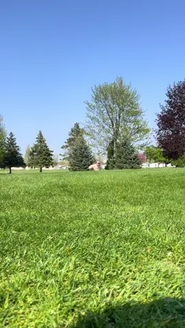 Golf Gang #betonit #golf #saturday #stclair #scramble #hsm #zacefron 