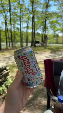 And the can?? In love @Drink Poppi 🍒🍋🍓🍍🍏🍉 #poppi #drinkpoppi #fruitpunch #soda  #summerfinds #summerdrink