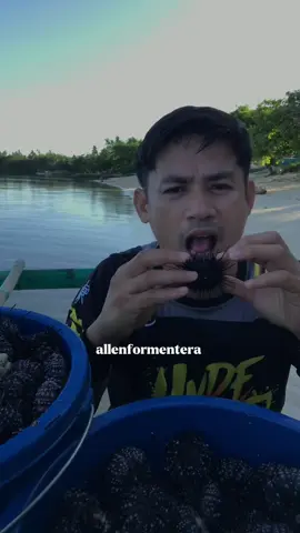 Sea urchin #highlight #follower #fypage 