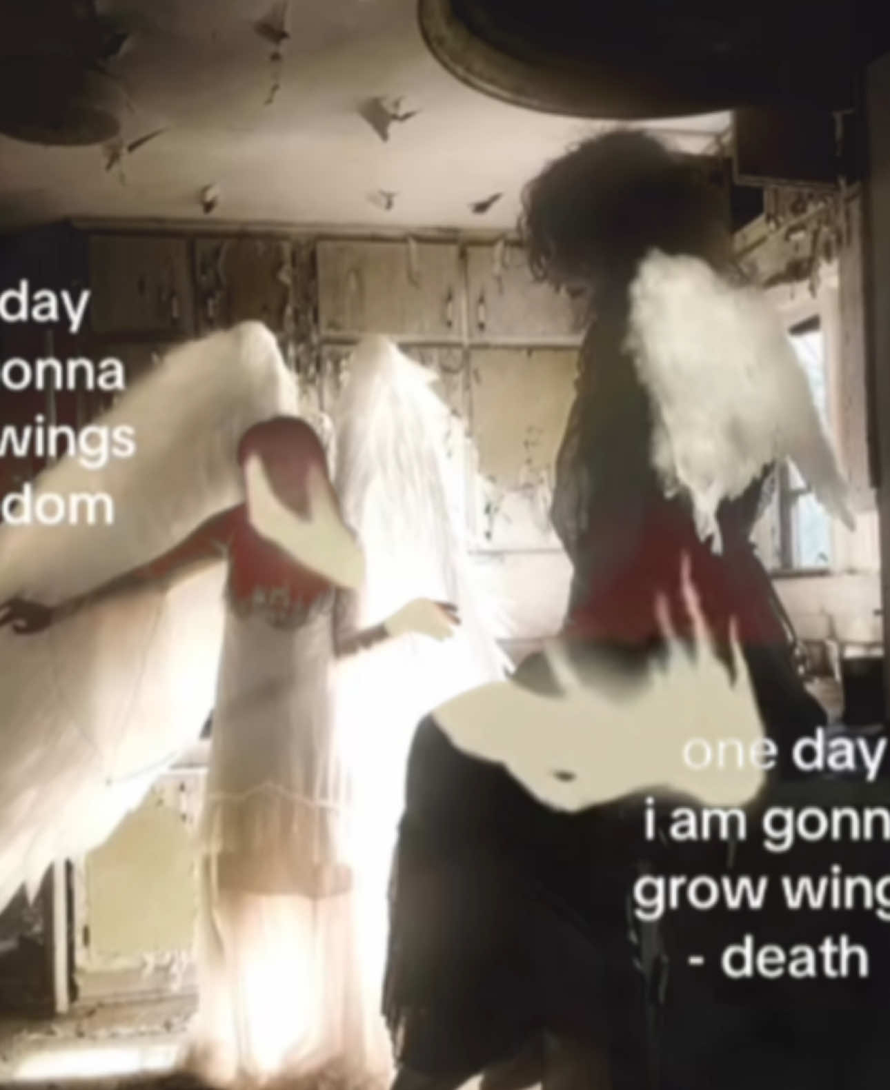 what is freedom? #letdown #radiohead #wings #freedom #angel #musi #music #indie #surreal #dream #nostalgia #nostalgic #vintage #y2k #fashion #shoegaze #digitalcamera #Love #Summer #spring #real #flowers #abandoned #ae #aes #aesthetic #aestetic #pinterest #pinterestaesthetic #slideshow #mood #moodboard #me #mecore #repost #black #white #kim #aot #jjk #bluelock #relatable #meme #fyp #fyppp 