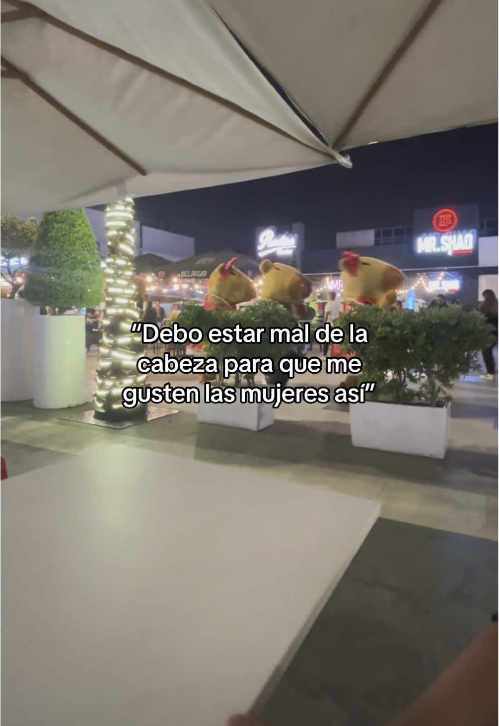 🙈JAJAJAJAJAJA  #humor #etiquetala #lyricsedit #x #xzcyba #fiel #toxica #amor #contenido #fyp #paratii #pareja #capibara 