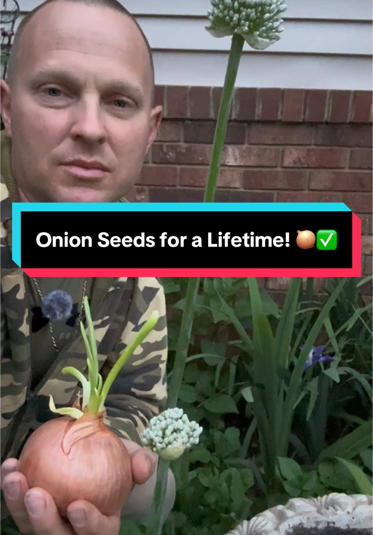 How to make your own onion seeds for free.🧅✅.                                   #onion #seeds #organic #gardening #farmtok #natute #Outdoors #gardenproject #DIY 
