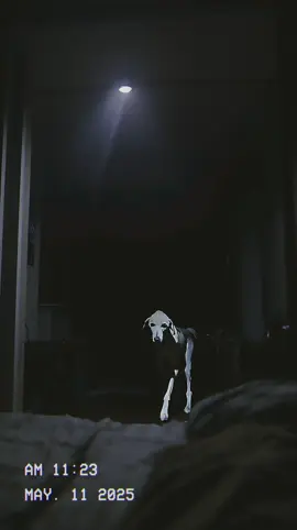 My dog is still outside….  #aihorror #nightmarefuel #creepy 