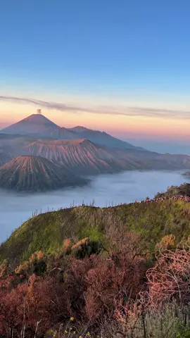 bromo tidak pernah gagal memberikan keindahannya 🥰🥰🥰#fyp #fypシ゚viral #CapCut #murahnikmatlezat #bromo #bromotenggersemeru #bromomountain #pesonaindonesia #wonderfulindonesia #mangu #fourtwentymusic 
