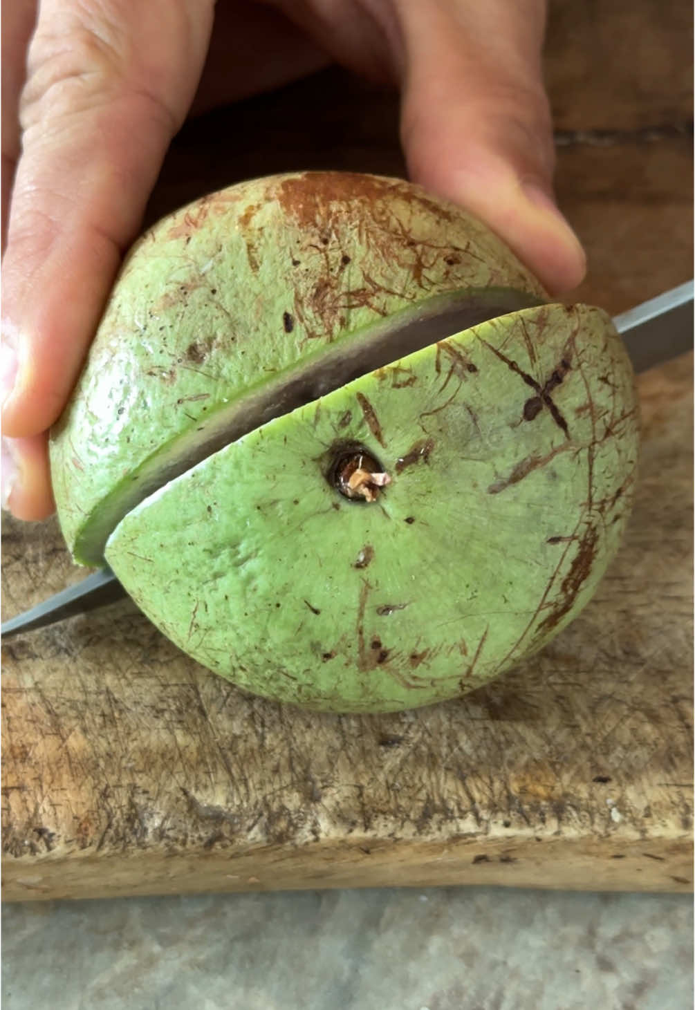 So Delicious Caimito ASMR cutting real fruit #asmrcuttingsounds #cuttingfruits #asmrvideo #asmrsounds #tiktokfood #explore 