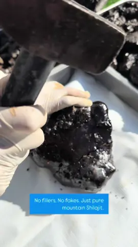 More than a supplement—it’s a complete cellular revival. Not all Shilajit is created equal. At Healing Shilajit, we climb above 18,000 ft to collect only the finest raw Shilajit—graded by hand, purified with ancient Ayurvedic methods, and sun-dried for weeks to preserve every mineral. What makes ours different? 	•	100% Pure & Natural 	•	Gold Grade Only 	•	Lab Tested (Eurofins USA Certified) 	•	No Fillers. No Additives. No Shortcuts. Benefits you’ll feel: 	•	Energy that lasts 	•	Sharper focus 	•	Enhanced stamina 	•	Stronger immunity When purity meets purpose—you get real results. This is Healing Shilajit. Experience the difference. #HealingShilajit #RealShilajit #GoldGradeShilajit #ShilajitBenefits #AuthenticShilajit #MountainMedicine #PurityMatters #sundriedstrength 