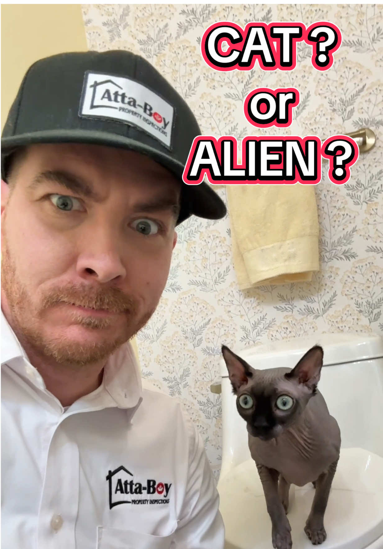 👽 Inspection was going normal until… this thing showed up. Is it a cat… or an alien scout? Either way, it didn’t blink once. I’m mildly concerned. #HairlessCat #AlienCat #HomeInspectionSurprise #InspectToProtect #AttaBoyBrad #CaughtItBeforeYouBoughtIt #InspectionLife #CatOrAlien #FYP #WeirdFinds #HomeInspectorHumor #RealEstateTikTok #CreepyCute #PetOfTheDay #AlbertaInspections #InspectorChronicles #ETCalled