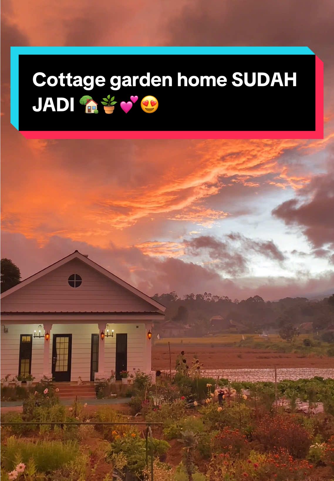 Penantian 6 bulan akhirnya terbayar lunas dengan cottage garden yang sesuai ekspetasi, tinggal beternak dan renov kebun agar vibes harvest moonnya menjadi nyata 🪴🏡🐓🌽🍅🥕🌶️🥔  Oh iya keran otomatisnya aku dari Yuta Luxe loh! Kalo mau samaan boleh checkout di keranjang kuning ya!  @Vinilon 🫶🏻🏡 #AndalanYuta #ReliableProduct #YutaIndonesia