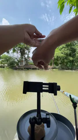 Trường hợp này thật quen thuộc #thothichcau #cauca #caucatunhien #fishing #fishinglife 