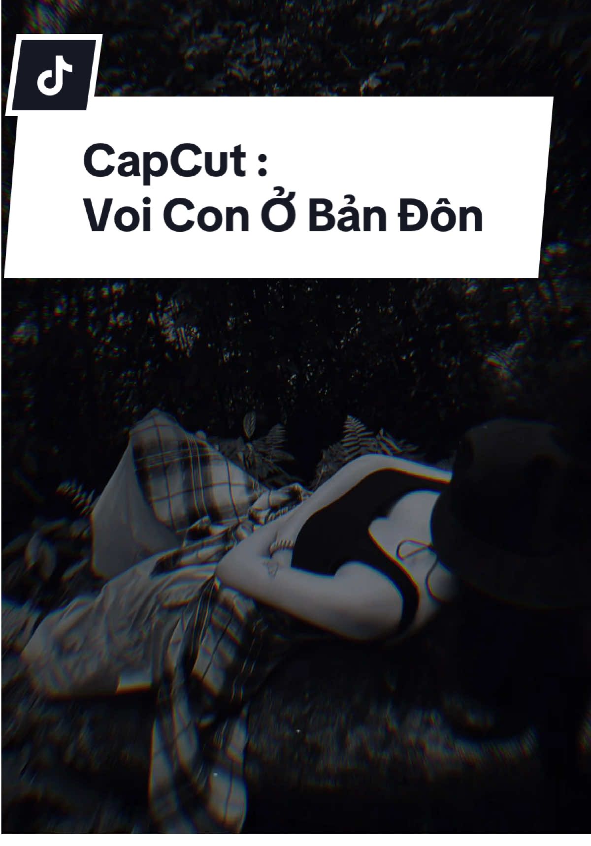 Này Là Voi Con Voi Con Ở Bản Đôn #CapCut #xuhuong #thinhhanh #viral #lyrics #chuvoiconobandon #nhacremix #bietchua 