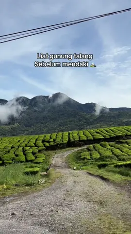 Cuacanya diluar ekspektasi  #tektokgunung #pendakigunung #pendakiindonesia #mendaki #pendakifomo #gunungtalang #pendakicantik 
