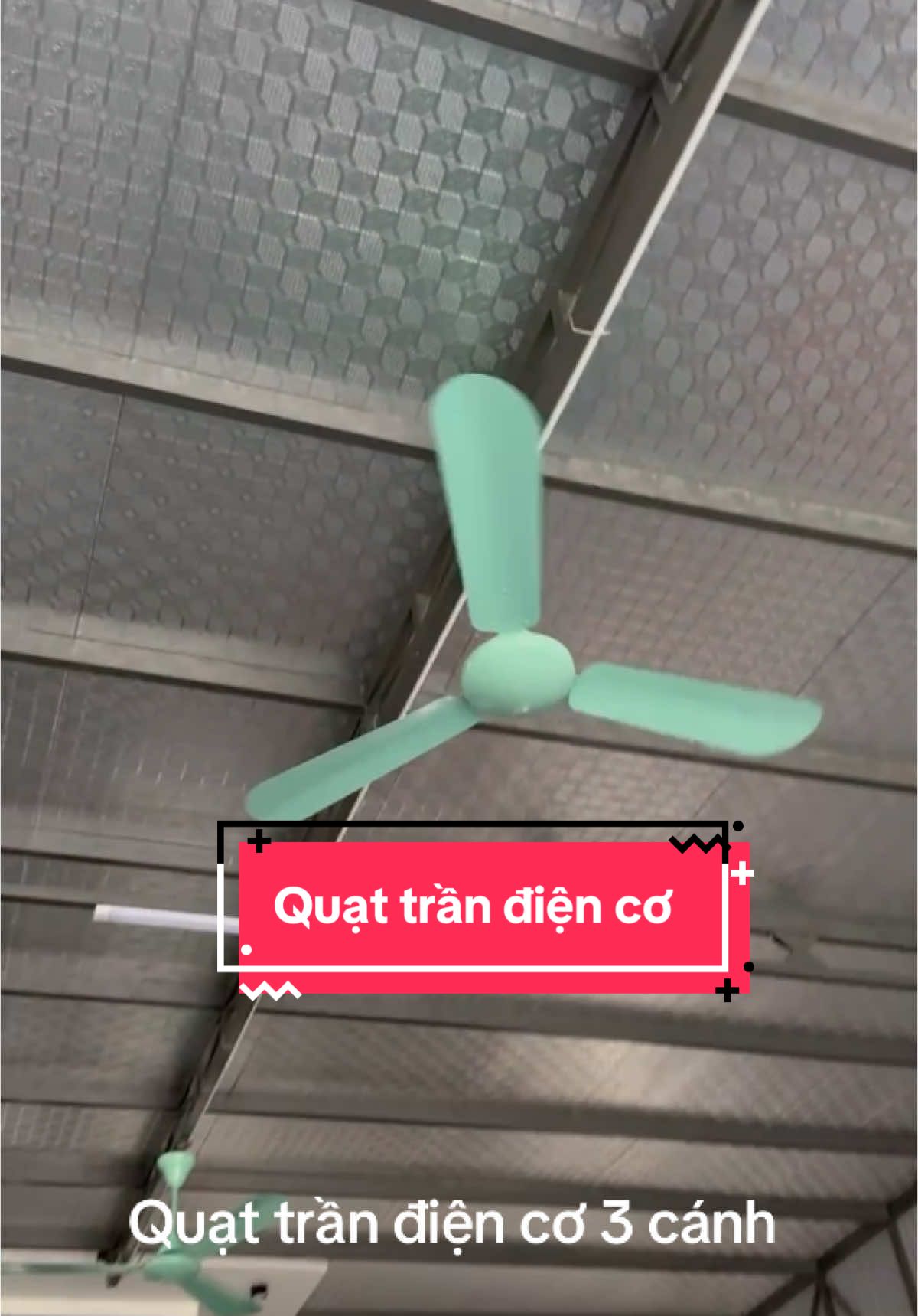 Quạt trần 3 cánh điện cơ màu xanh quốc dân#quattran #quattran3canh #quattranvinawind #quatrandienco 