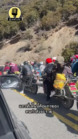 คนมันจะรวย นักล่าถั่งเช่า #นักล่าสมบัติ #ถั่งเช่า #รวย 