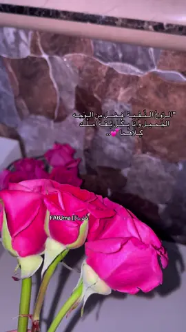 💕..#مشاهدات_تيك_توك #fyp #مصراته #مصراته #ليبيا #ليبيا #اكسبلور #الشعب_الصيني_ماله_حل😂😂 #الشعب_الصيني_ماله_حل😂😂 